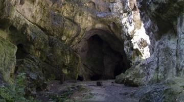 Jankovich-barlang (thumb)